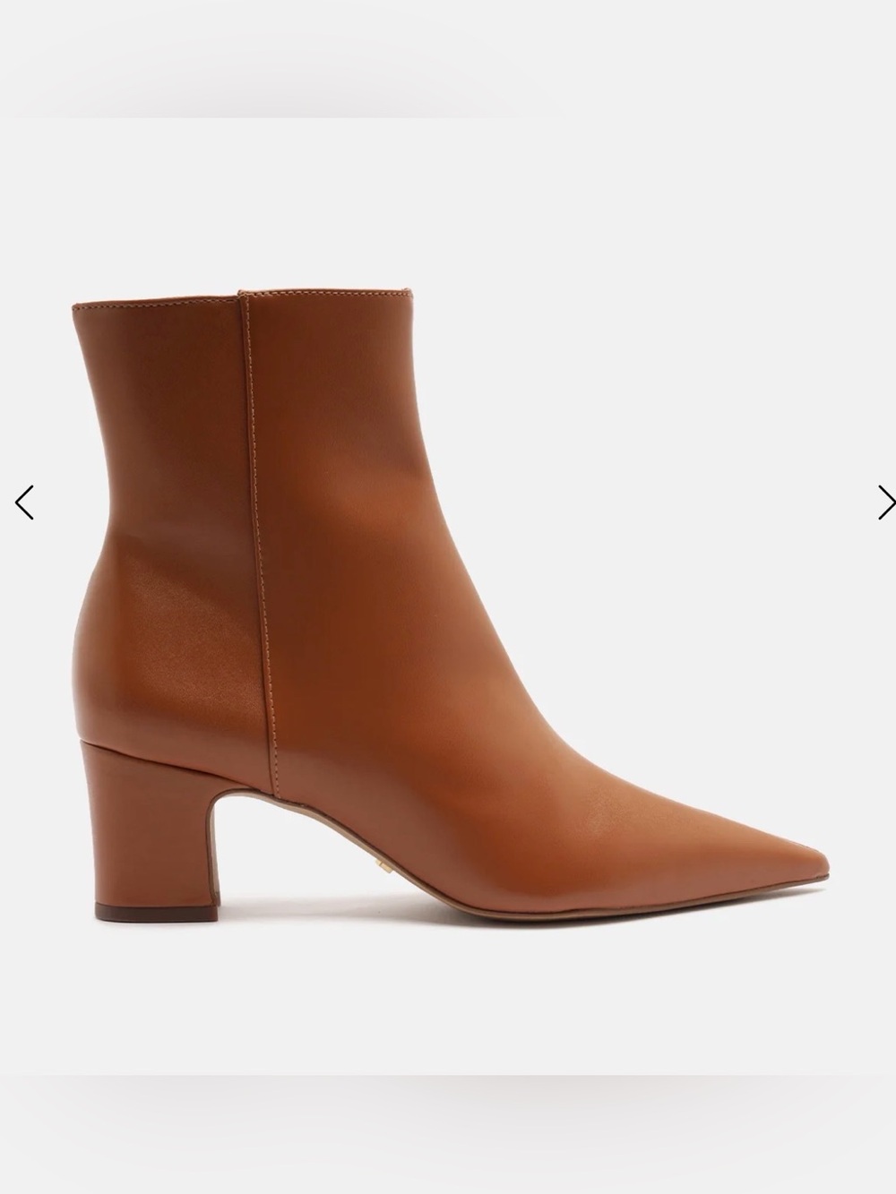 Arezoo Women's Pointed Toe Brown Ankle Boots